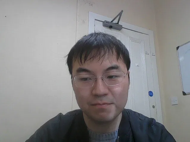 Example of a captured webcam image